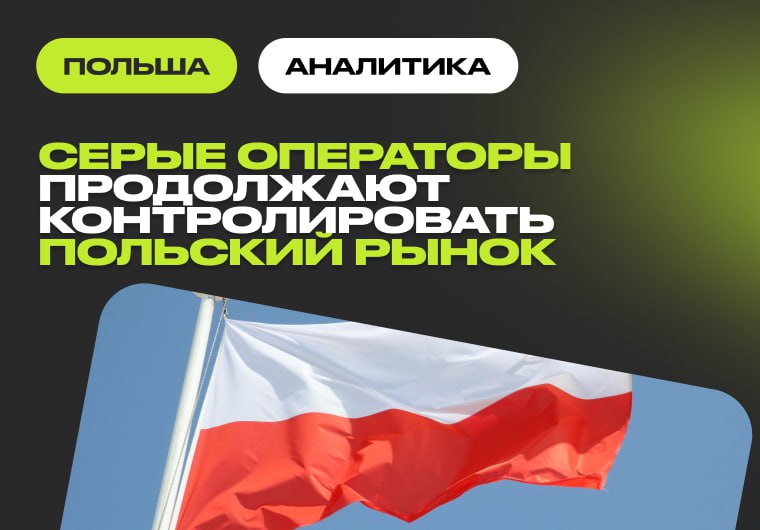 В 2025 году Польше не удалось сдержать рост нелегальных операторов