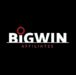 логотип Big Win Affiliate Program