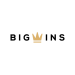Логотип BigWins Casino