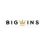 Логотип BigWins Casino