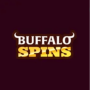 Логотип Buffalo Spins Casino