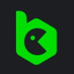 логотип Partner BC