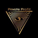 логотип Private Profit (ex. Private Digital)