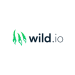 Логотип Wild.io Casino